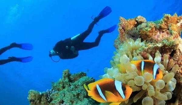 帶你領(lǐng)略馬爾代夫維塔維麗島卓美亞酒店